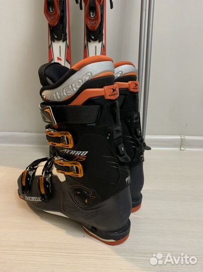 Горные лыжи Rossignol 163, ботинки Dalbello, палки