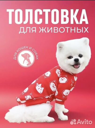 Толстовка для животных