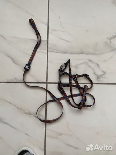 Поводок для собак