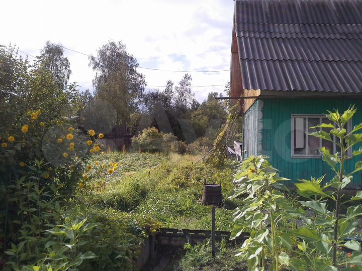 Участок 13 сот. (СНТ, ДНП)
