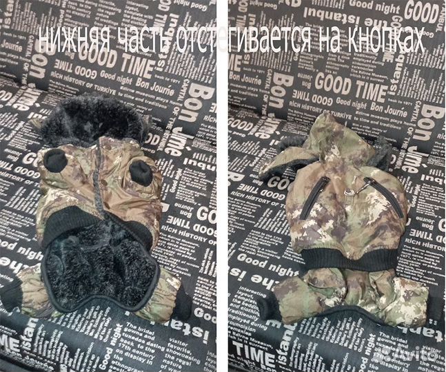 Одежда и обувь для собак