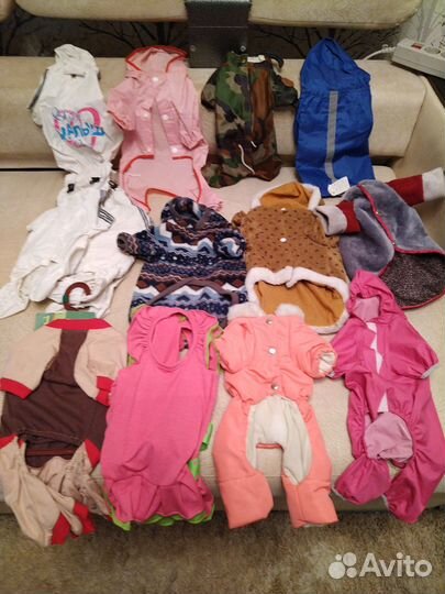 Одежда для собак