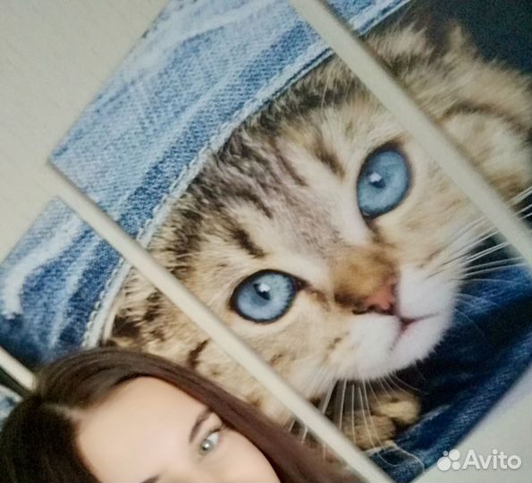 Модульная картина кошка