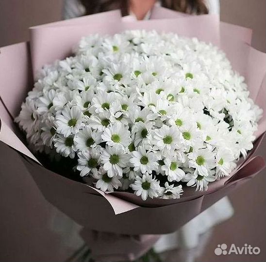 Хризантема Букеты с доставкой