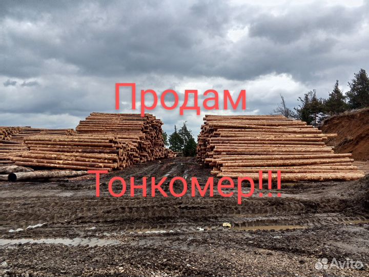 Лес кругляк тонкомер