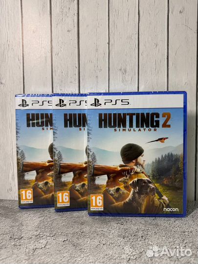 Hunting simulator 2 ps5