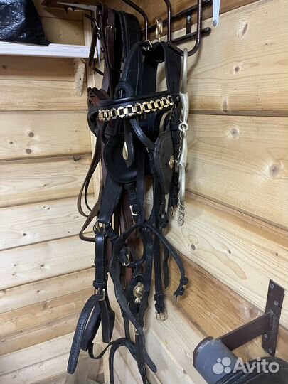 Европейская упряжь