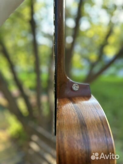 Гитара Taylor GS mini KOA plus