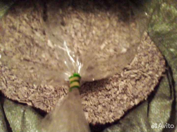 Дубовая стружка для копчения