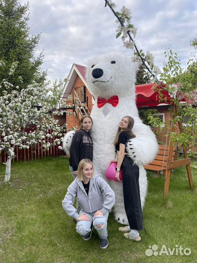 Большой белый мишка Медведь поздравление Аэромишка