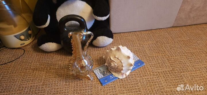 Кувшин стекло и раковина морская большая