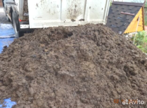 Навоз под помидоры