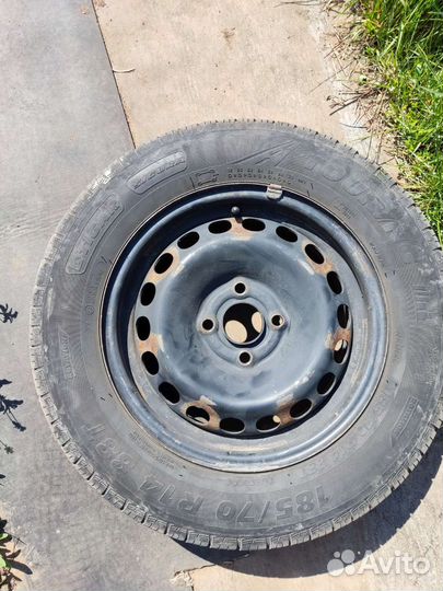 Tigar Sigura 185/70 R14