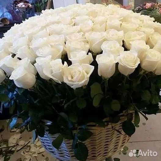 Розы Высокие Розы Гиганты Доставка Москва