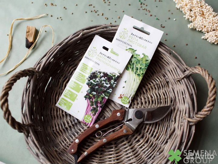 Пакетированные семена оптом для торговых сетей