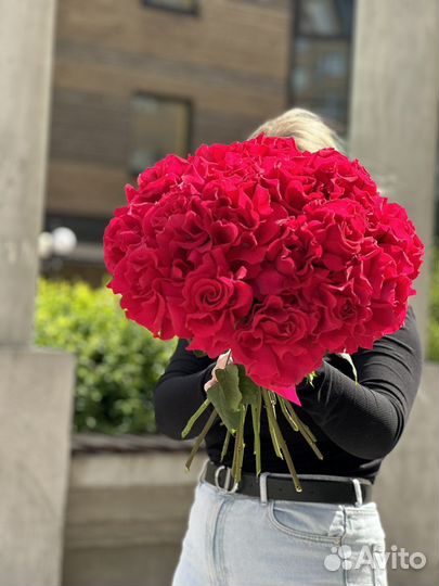 Роза малиновая французская