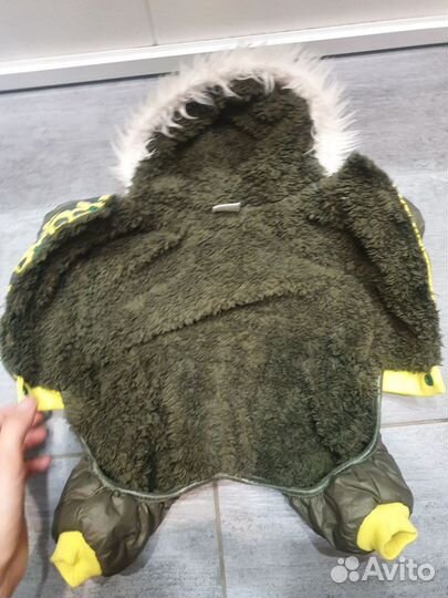 Комбинезоны для собак мелких пород, йорк