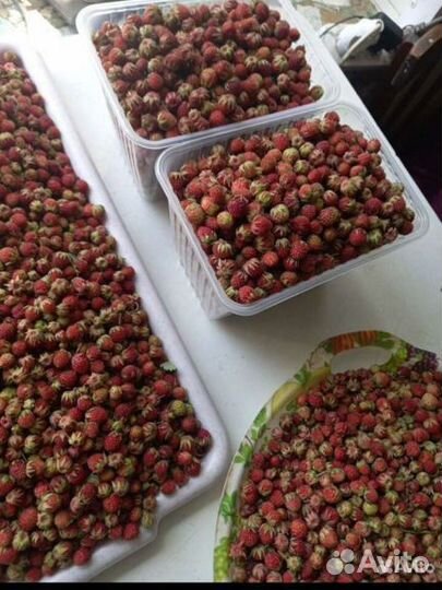 Клубника свежая ягода