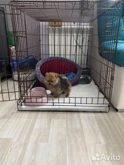 Клетки с оцинкованным поддоном разных размеров