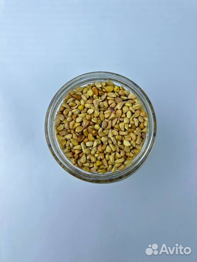 Шиповник / Семена шиповника