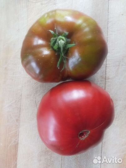 Семена коллекционных томатов
