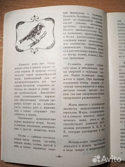 Жизнь птиц в доме В. Г. Гавриш 1992