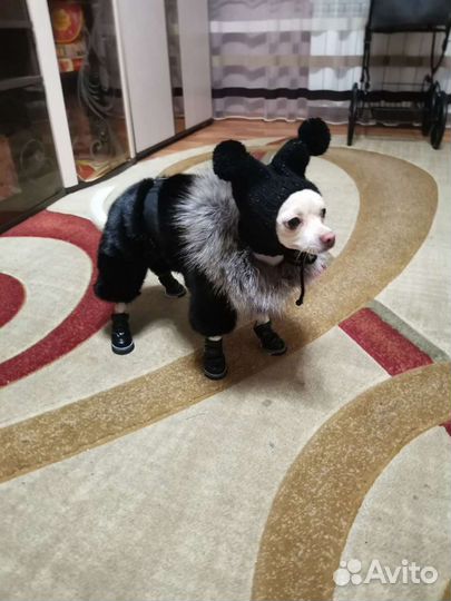 Норковая шуба для собак