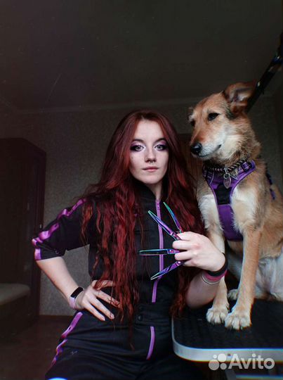 Стрижка собак и кошек в Люберцах (Груминг, грумер)