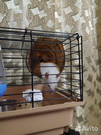 Клетка для грызунов