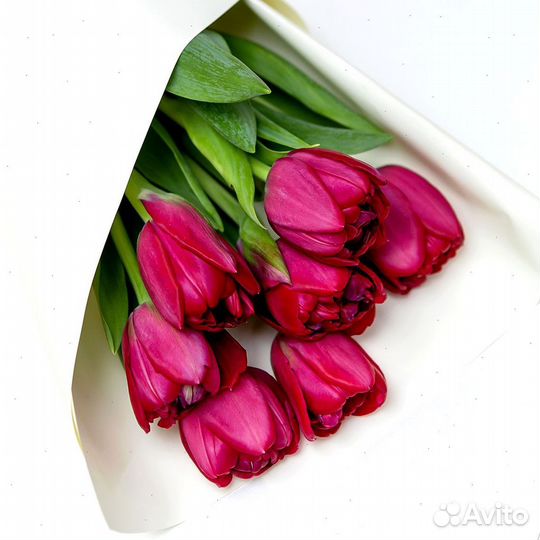 Букеты желтых Тюльпанов оптом 10 по 7