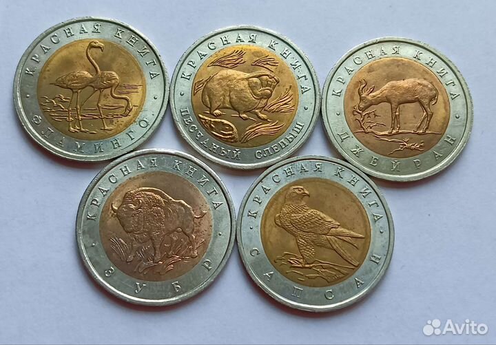 Юбилейные рубли СССР и России