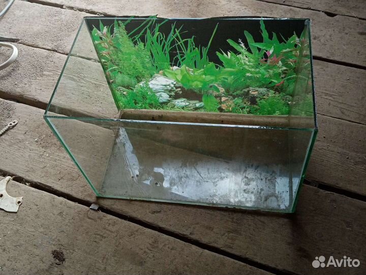 Аквариум