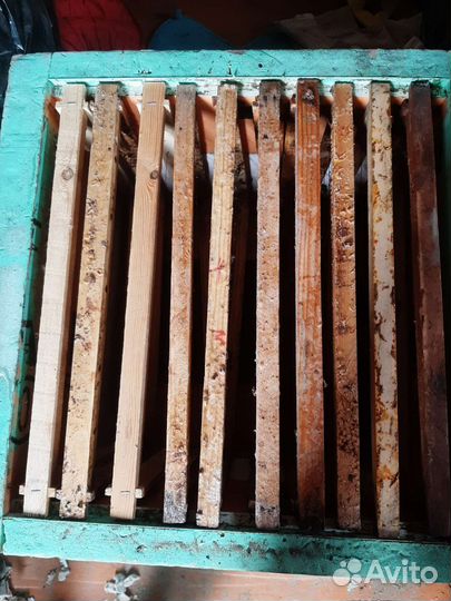 Улей для пчел