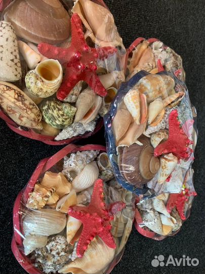 Морские ракушки раковины 1кг