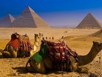Поездка в Египет 11 н. all inclus