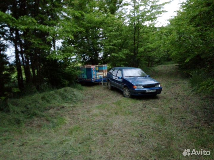 Пчелы улья пасеку