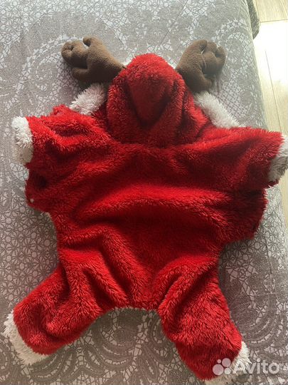 Одежда для маленьких собак