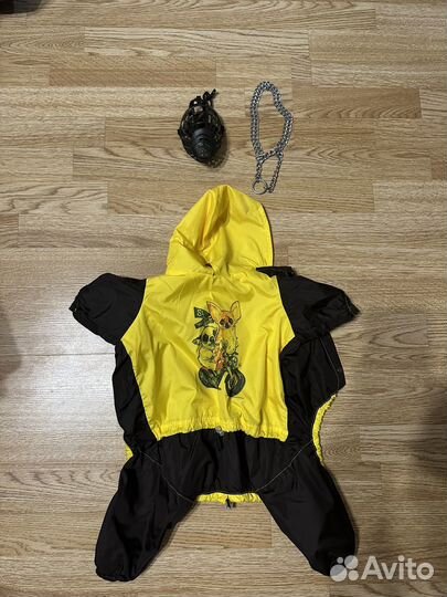 Дождевик для собак, ошейник и намордник