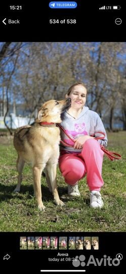 Отдам в добрые руки