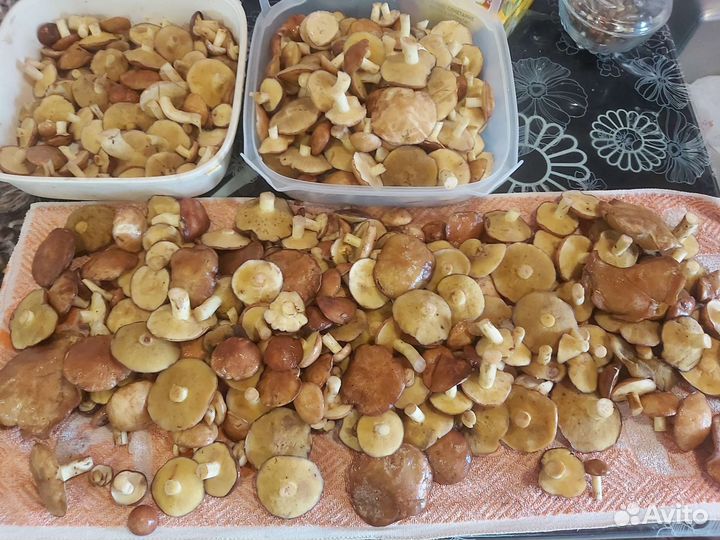 Сало грудинка ребра сыр холодец грибы каши супы