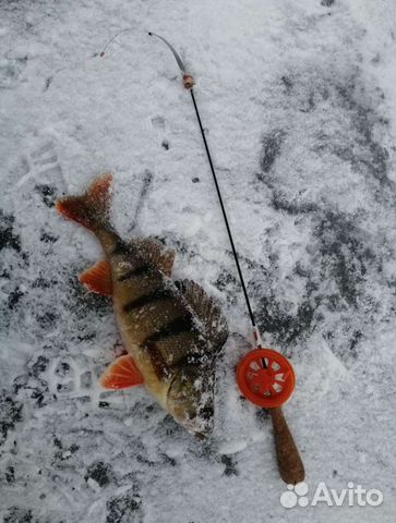 Катушка для изготовления зимний удочки