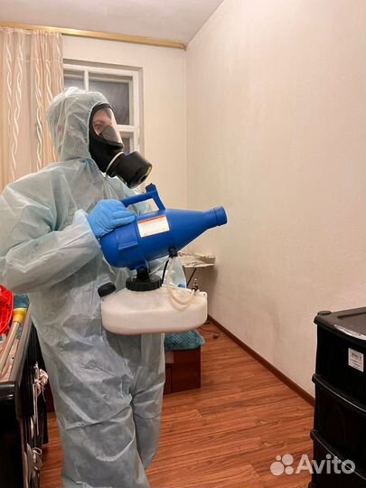 Обработка от клопов и тараканов.Травля, плесень