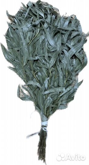 Эвкалиптовый и дубовый веник для бани