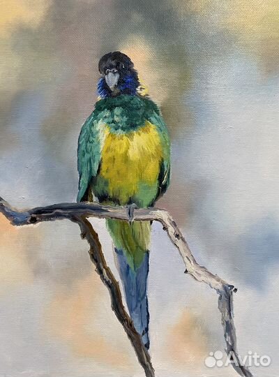 Картина маслом «Попугай»