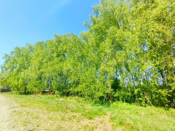 Участок 10 сот. (ИЖС)