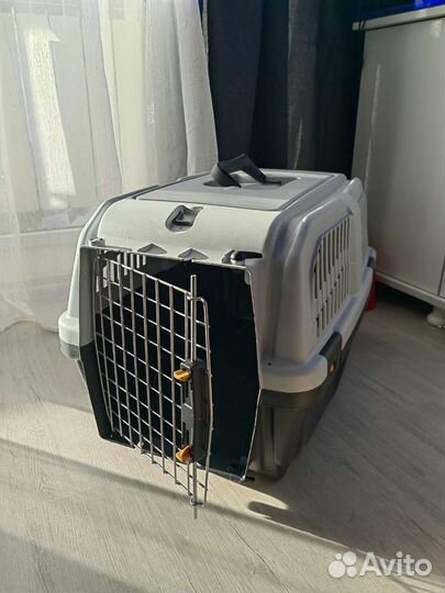 Аренда переноски для кошек и собак