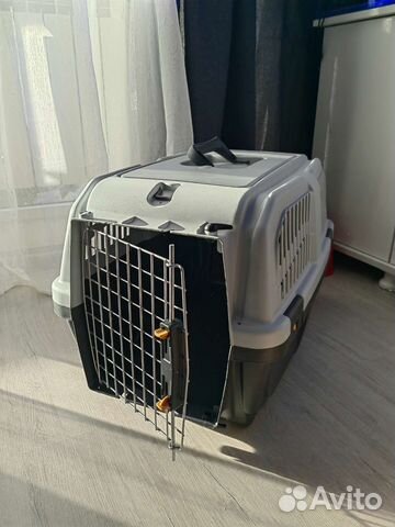 Аренда переноски для кошек и собак