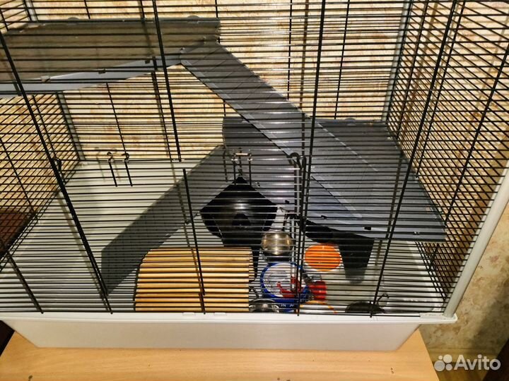 Клетка для грызунов крыс