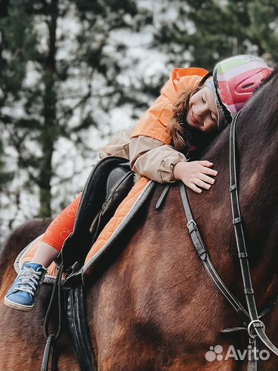 Конные прогулки