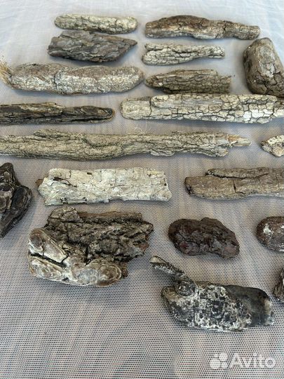 Кора дрифтвуд